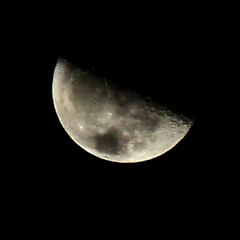 IMG_1033