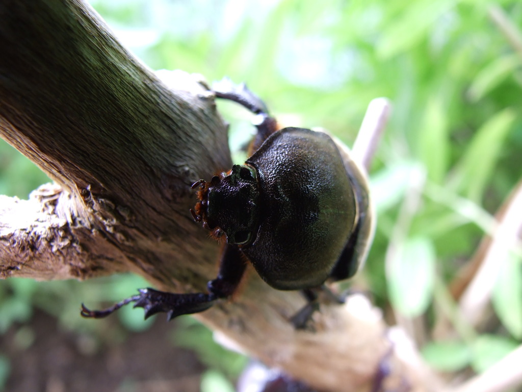 20100807_home 065