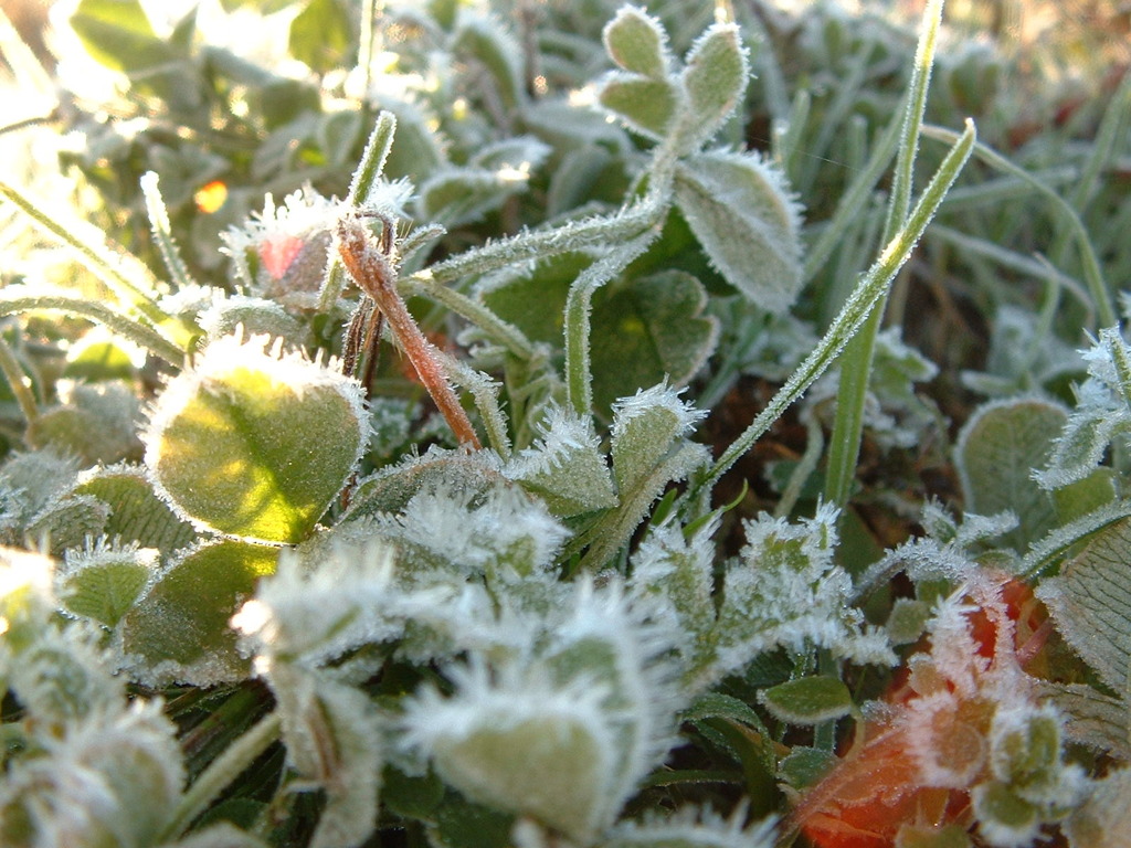 021123冬の日の朝２