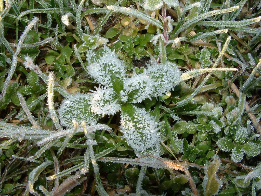 021123冬の日の朝１