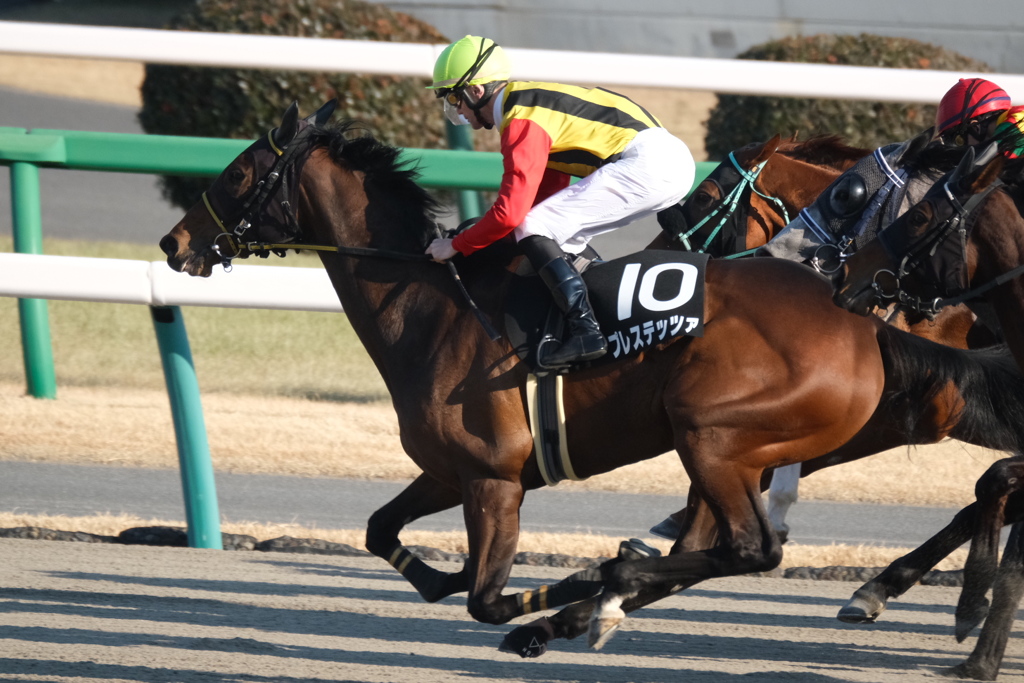はじめての競馬