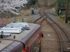 わたらせ渓谷の桜吹雪