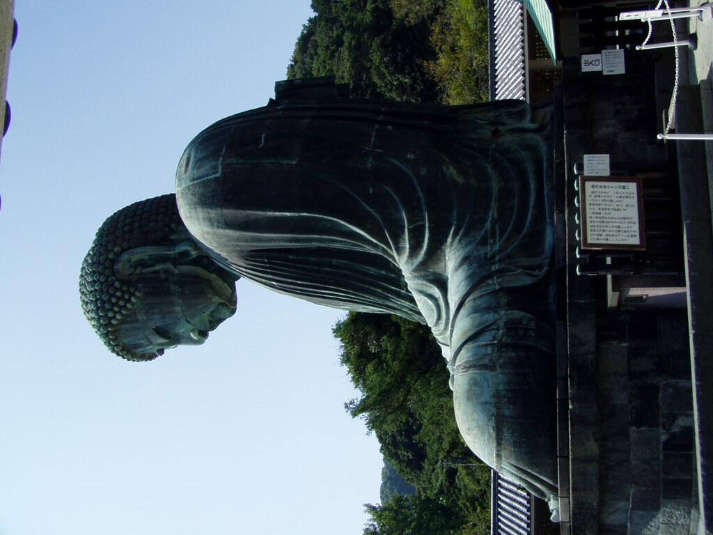 P9020056