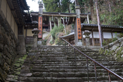 京都、大阪、信楽,奈良