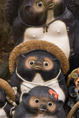 京都、大阪、信楽