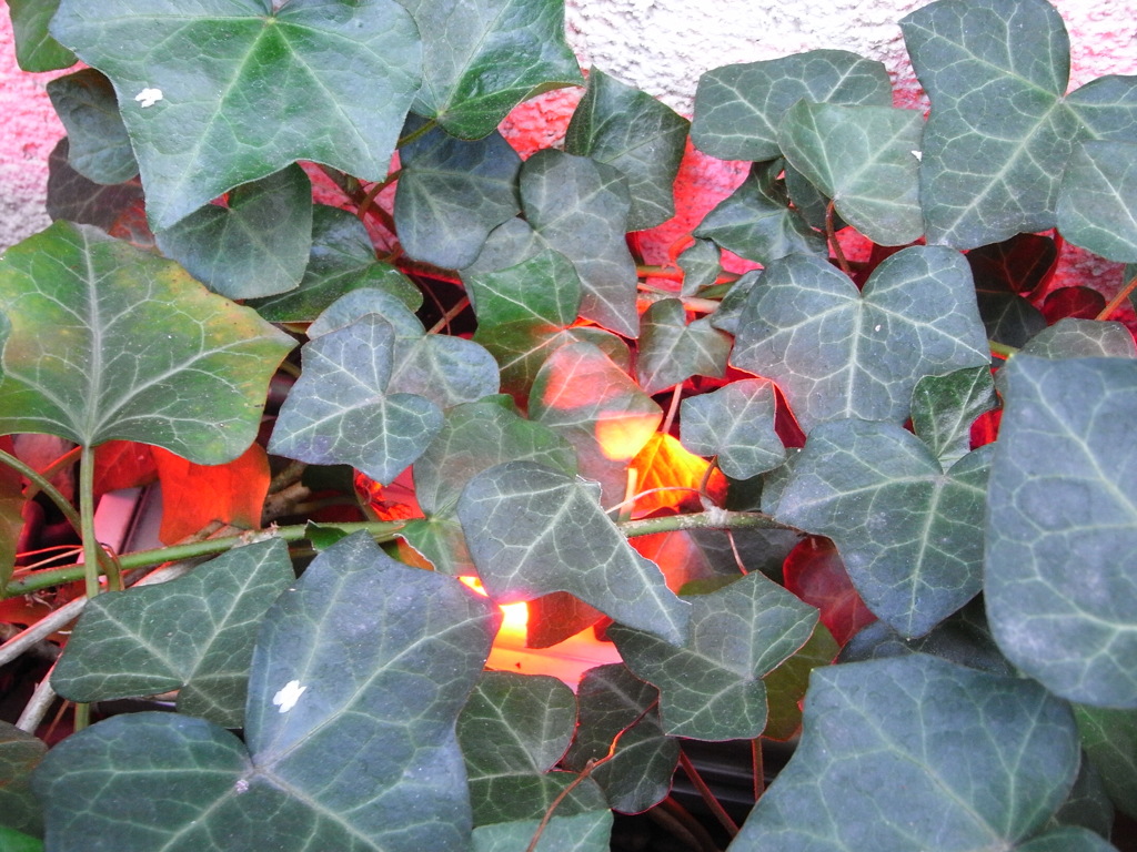 R0013020