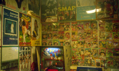 オリンパストリップ004