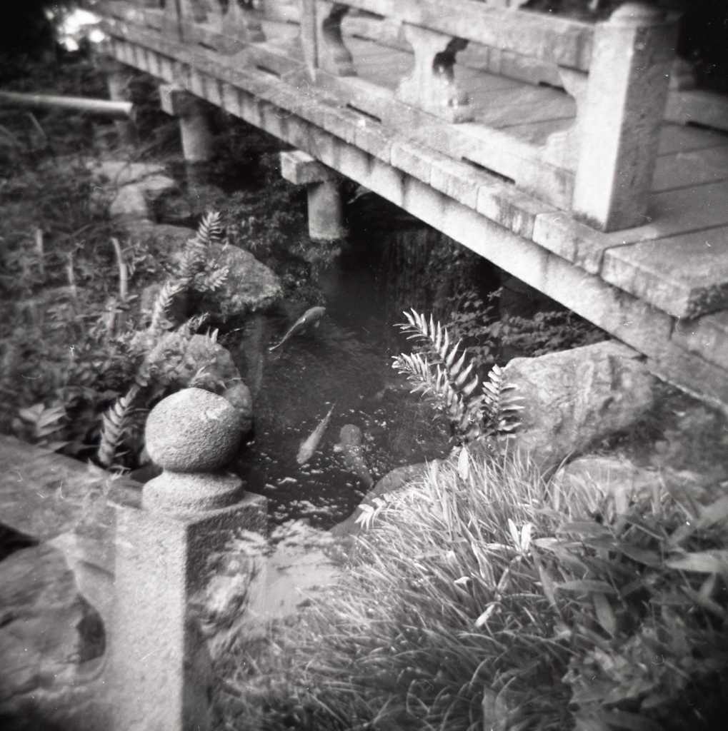 holga006