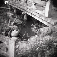 holga006 holga006
