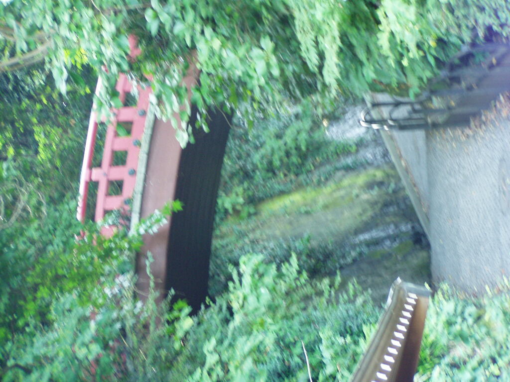 P9020130