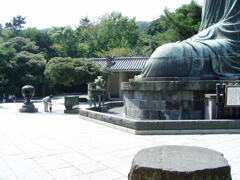 P9020058