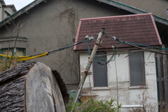 京都、大阪、信楽,奈良,三宮