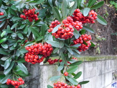 R0013016