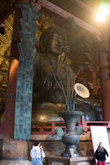 京都、大阪、信楽,奈良