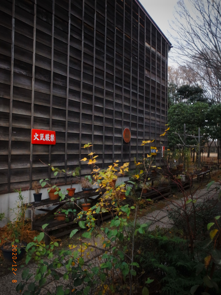 リコ－デジタル4-47