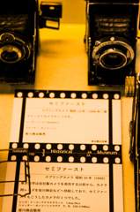 ５５α-312