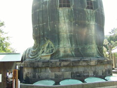 P9020053