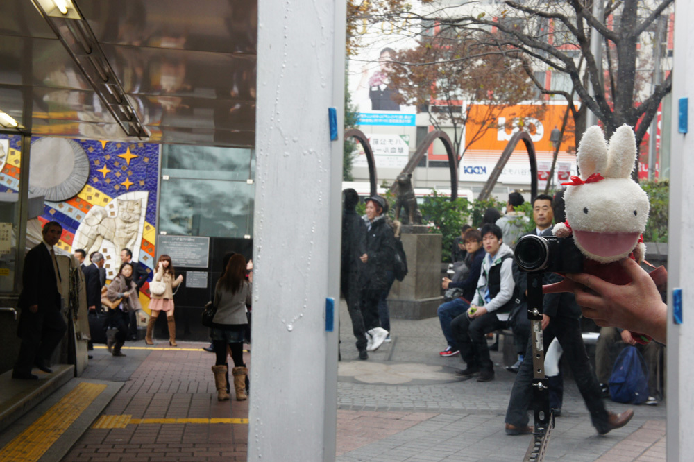 sibuya