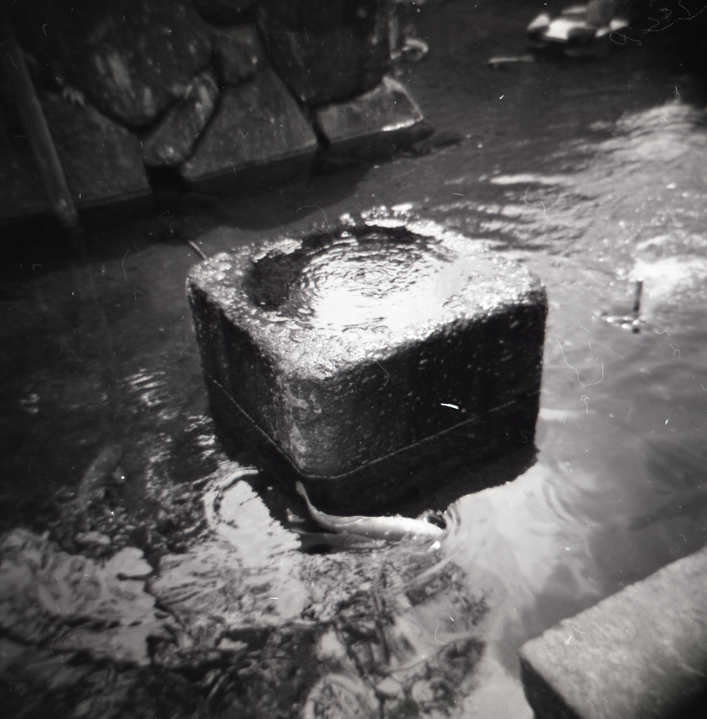holga011