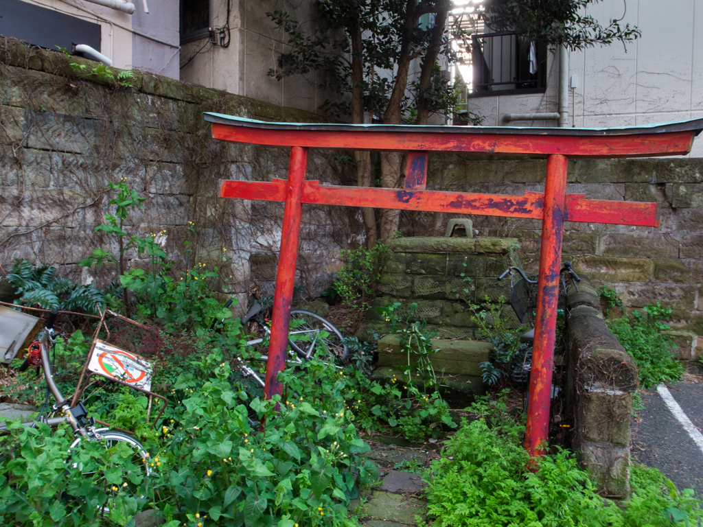鳥居-0038