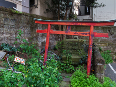 鳥居-0038