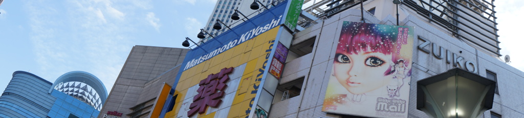 DSC00833