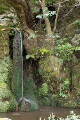 京都、大阪、信楽,奈良,三宮