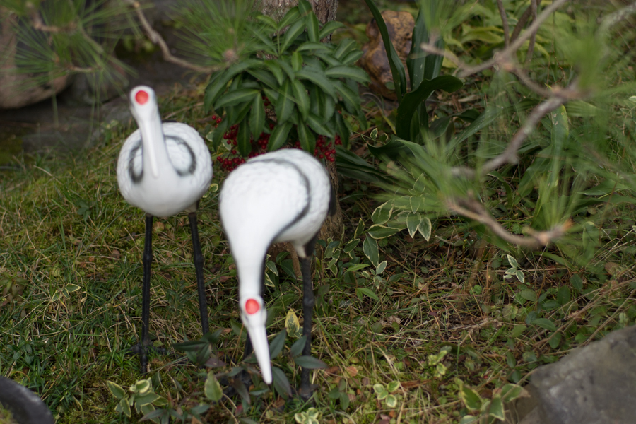 京都、大阪、信楽