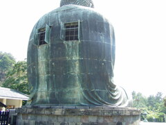 P9020052
