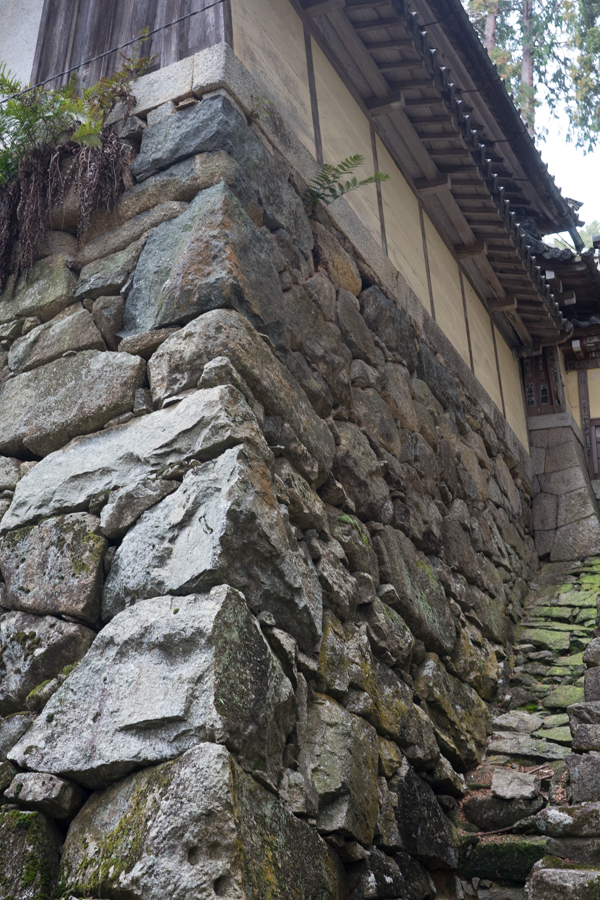 京都、大阪、信楽,奈良