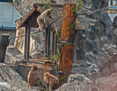 現像-00281 現像-00281