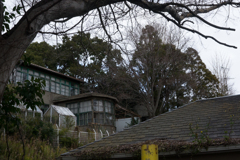 京都、大阪、信楽,奈良,三宮