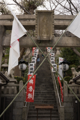 京都、大阪、信楽,奈良,三宮