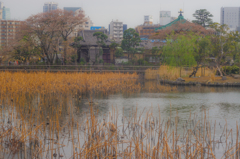 現像-00304 現像-00304