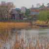 現像-00304