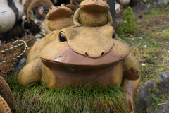 京都、大阪、信楽