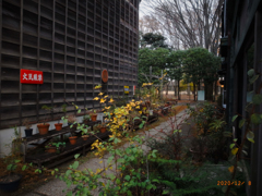 リコ－デジタル4-45