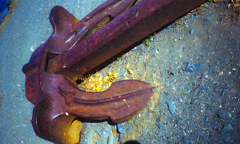 オリンパストリップ017