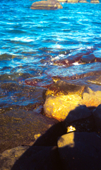 オリンパストリップ007