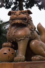 京都、大阪、信楽