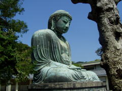 P9020049