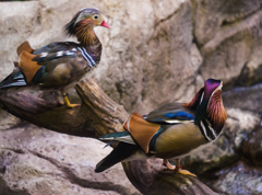 現像-00260 現像-00260