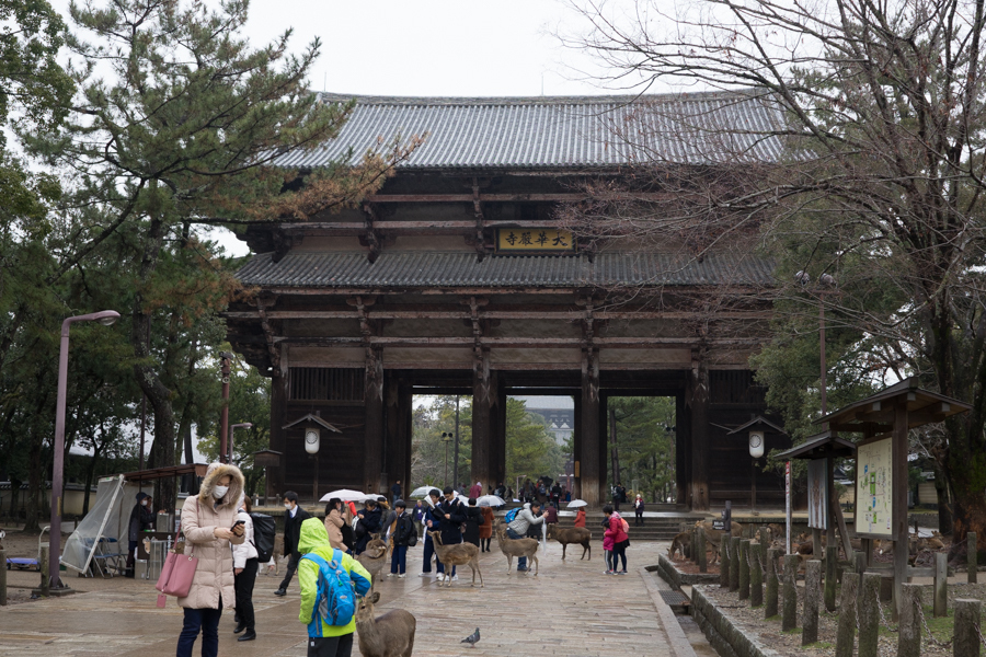 京都、大阪、信楽,奈良
