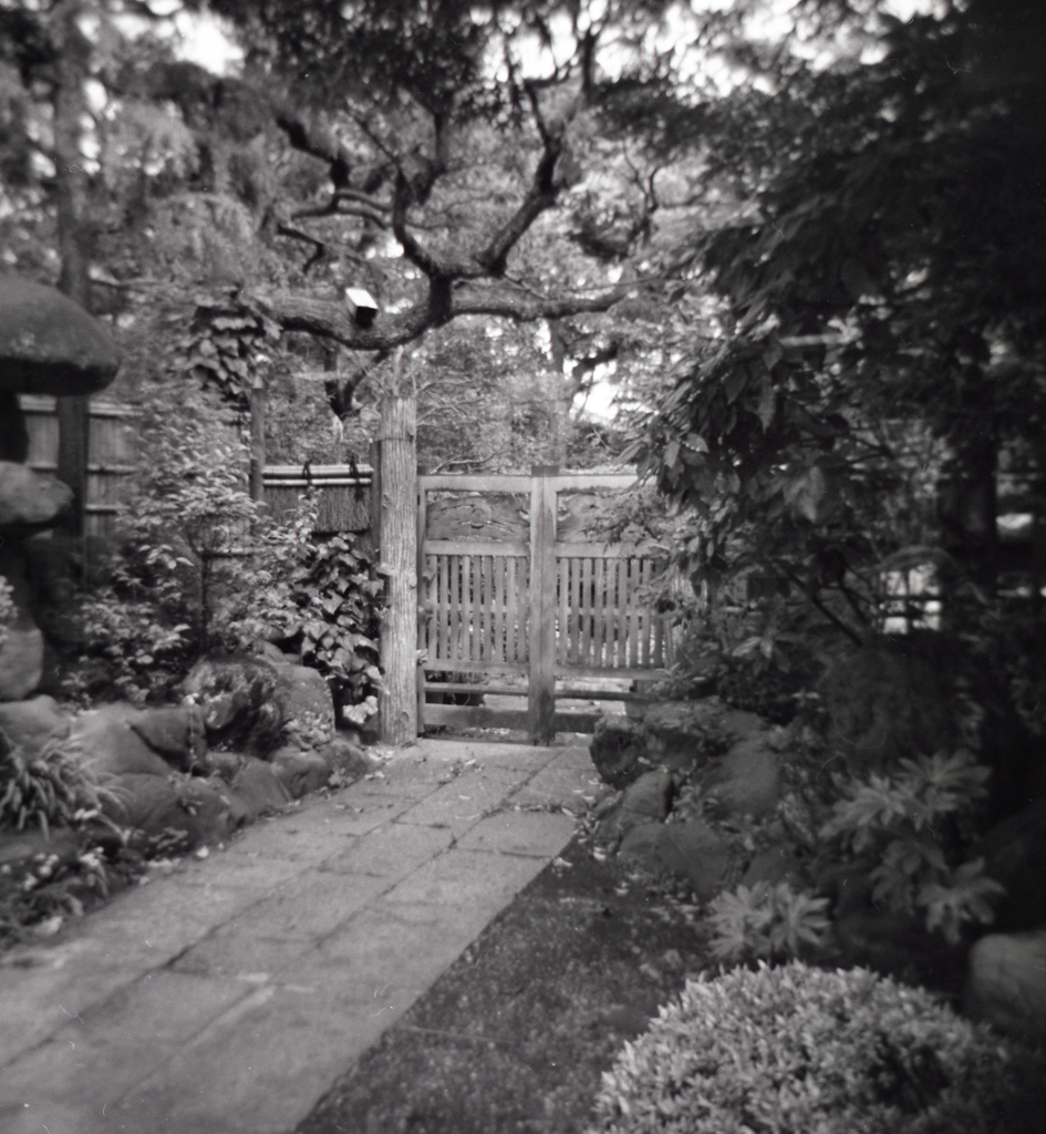 holga019