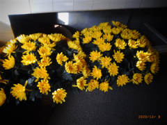 リコ－デジタル4-52