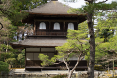 京都、大阪、信楽,奈良,三宮