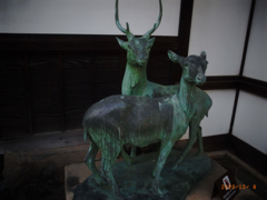 リコ－デジタル4-144