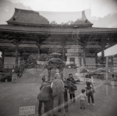 holga004 holga004