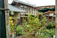 関西旅行-609