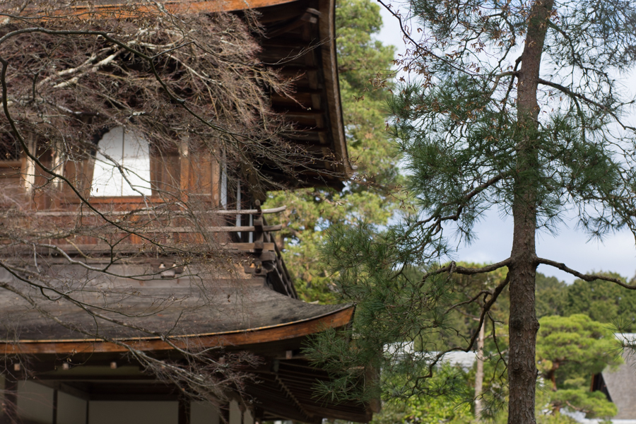 京都、大阪、信楽,奈良,三宮